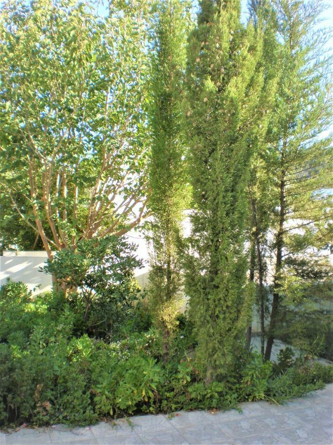 Livadi  Astyvillas מראה חיצוני תמונה