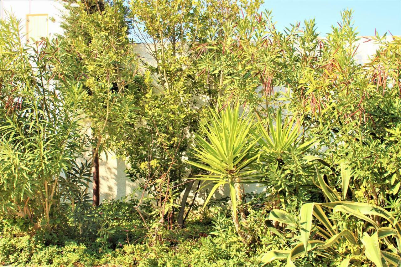 Livadi  Astyvillas מראה חיצוני תמונה