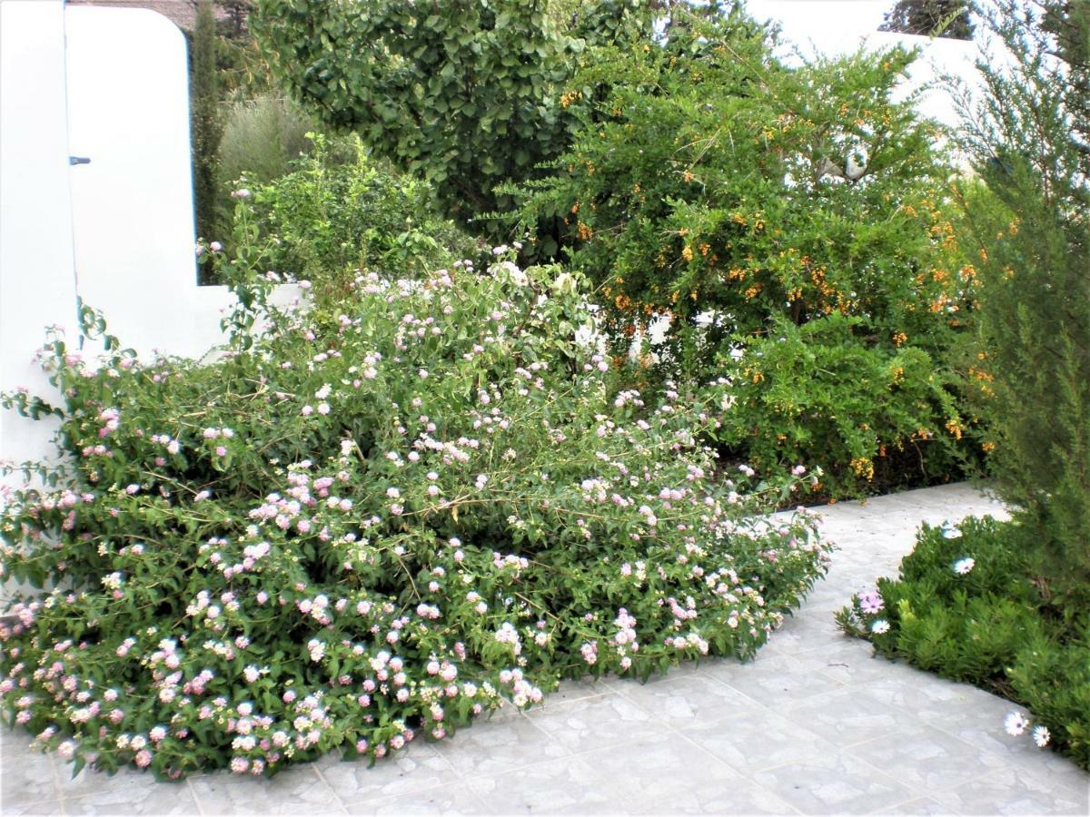 Livadi  Astyvillas מראה חיצוני תמונה